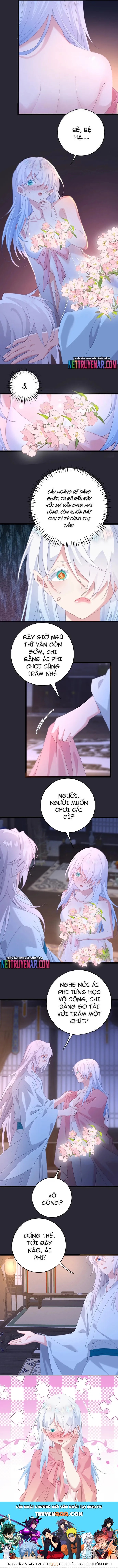Phơi Bày Thân Phận Nữ Của Hoàng Đế Chap 65 - Next Chap 66