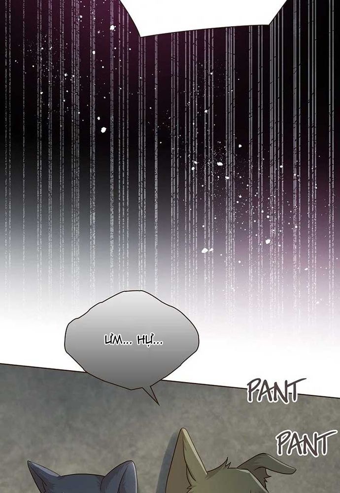 Cô Dâu Của Sói Trắng Chap 81.1 - Next Chap 82