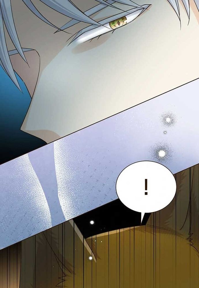 Cô Dâu Của Sói Trắng Chap 81.1 - Next Chap 82