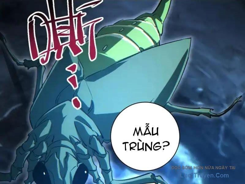 Mạt Thế Trùng Sinh: Ta Dựa Vào Mở Rương Vấn Dỉnh Đỉnh Phong Chap 73 - Next Chap 74