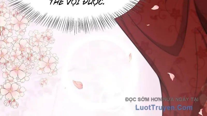 Sau Khi Tự Do Tài Chính, Họ Đã Dâng Hiến Lòng Trung Thành Chap 51 - Next Chap 52