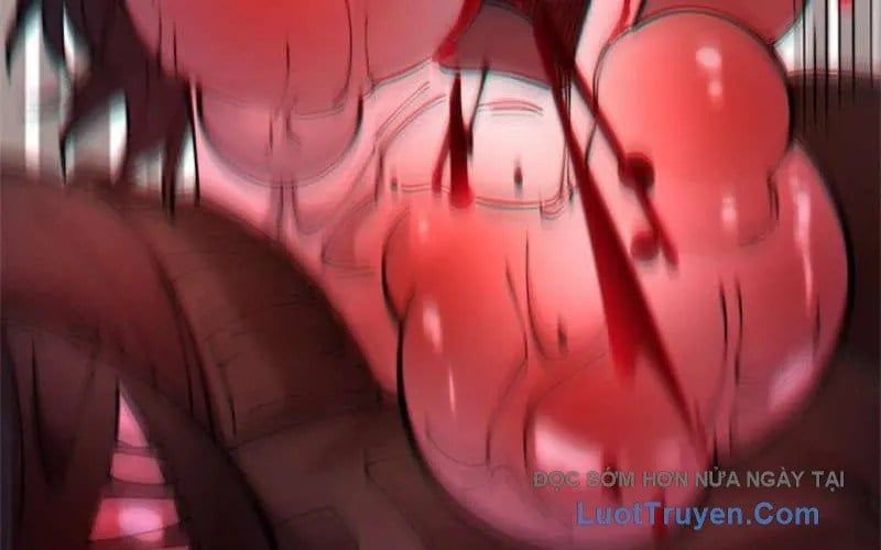 Ranker Sss Được Chọn Chap 34 - Next Chap 35