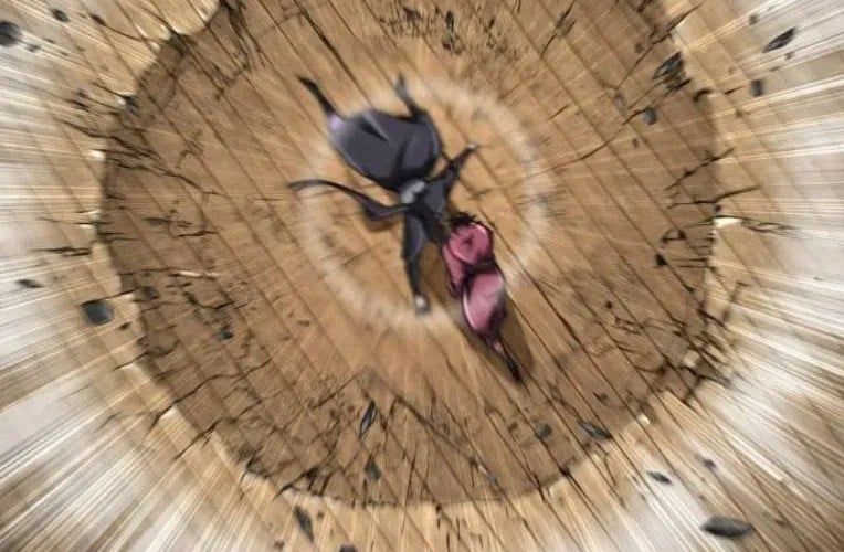 Quyền Vương Phục Sinh Chap 24 - Next Chap 25
