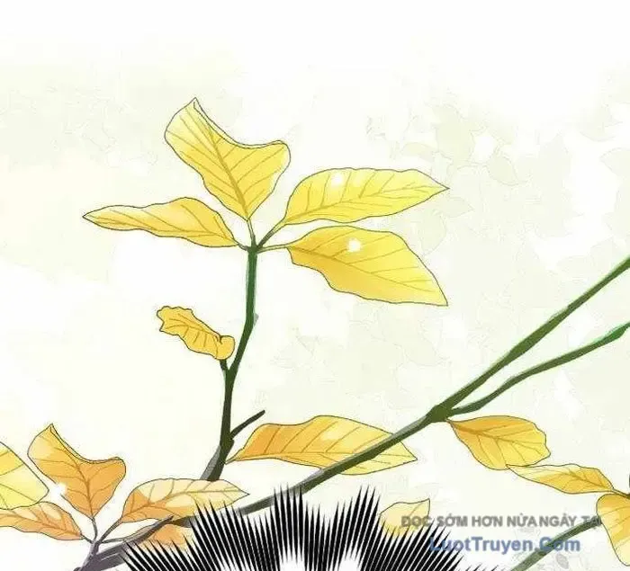 Pháp Sư Thiên Tài Phá Vỡ Giới Hạn Chap 32 - Next Chap 33