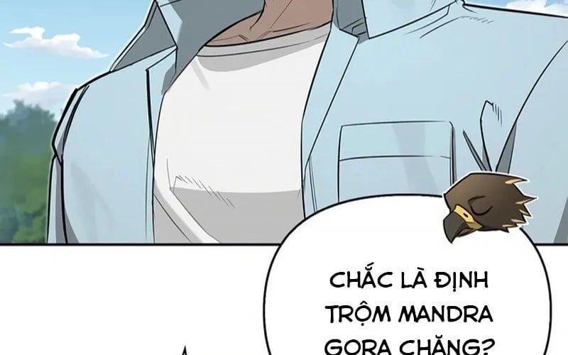 Healer Cấp S Chữa Trị Cho Quái Vật Chap 19 - Next Chap 20