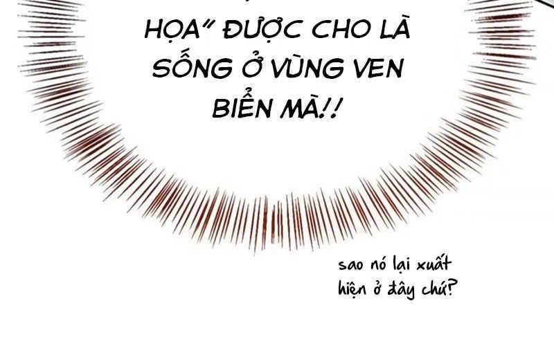 Healer Cấp S Chữa Trị Cho Quái Vật Chap 19 - Next Chap 20