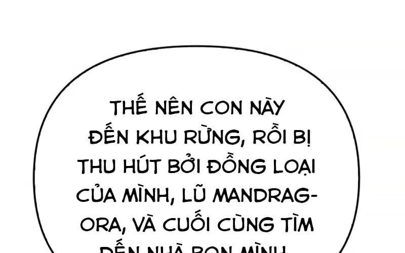 Healer Cấp S Chữa Trị Cho Quái Vật Chap 19 - Next Chap 20