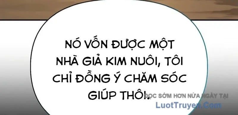Healer Cấp S Chữa Trị Cho Quái Vật Chap 19 - Next Chap 20