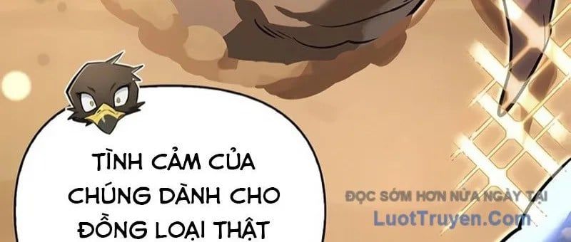 Healer Cấp S Chữa Trị Cho Quái Vật Chap 19 - Next Chap 20