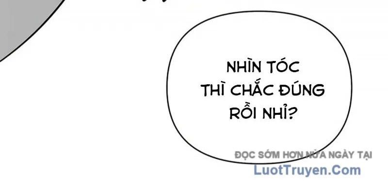 Healer Cấp S Chữa Trị Cho Quái Vật Chap 19 - Next Chap 20