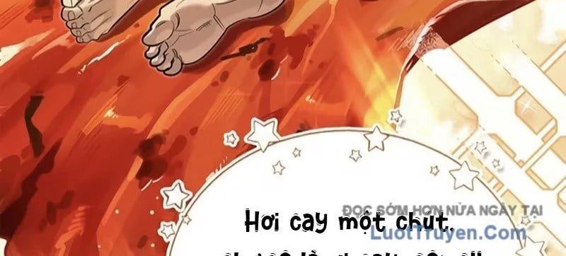 Healer Cấp S Chữa Trị Cho Quái Vật Chap 19 - Next Chap 20