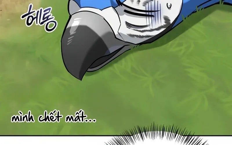 Healer Cấp S Chữa Trị Cho Quái Vật Chap 19 - Next Chap 20