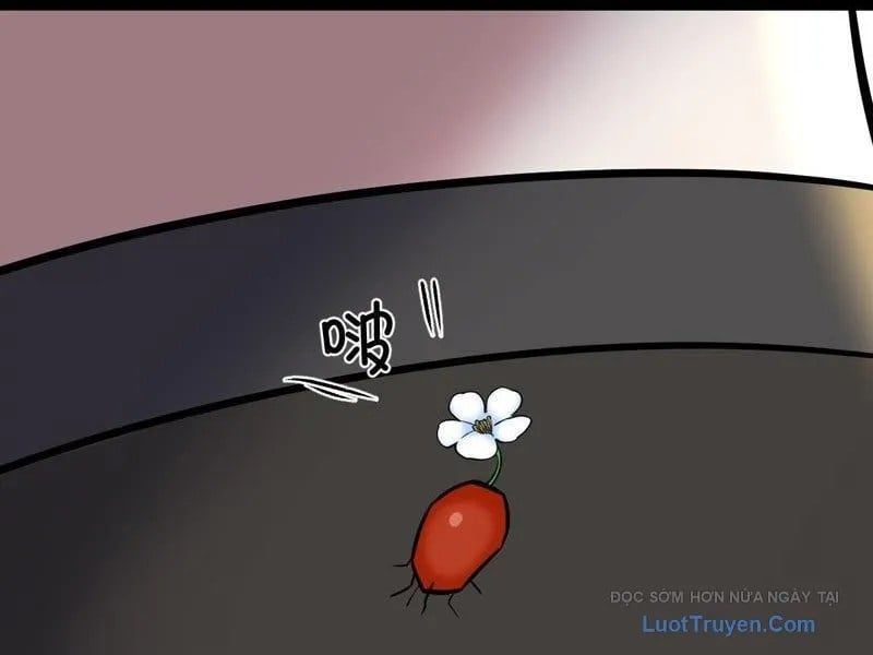 Sau Khi Đầu Thai, Ta Được Kẻ Thù Khắc Thành Vô Địch Chap 31 - Next Chap 32