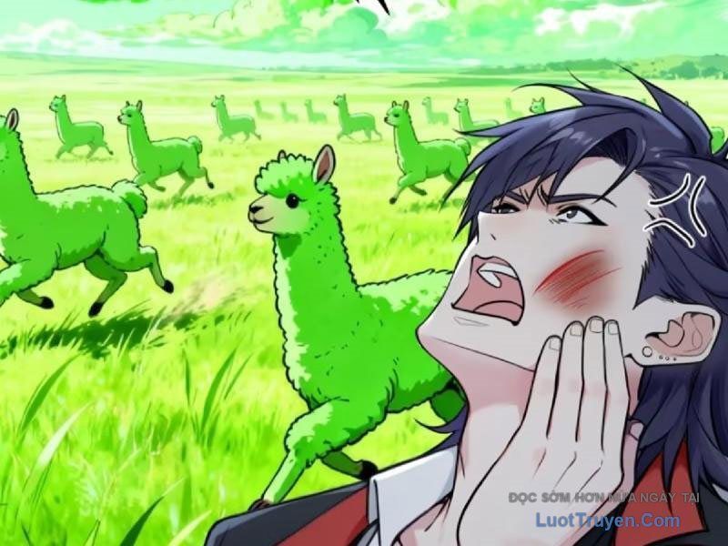 Sau Khi Đầu Thai, Ta Được Kẻ Thù Khắc Thành Vô Địch Chap 33 - Next Chap 34