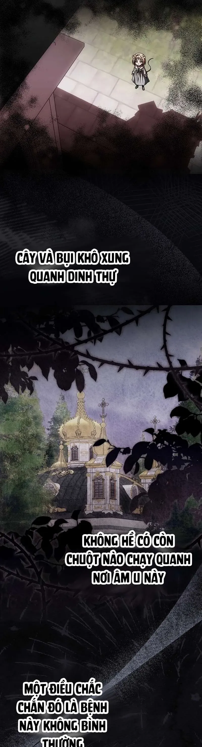 Chuột Đồng Này Sẽ Đưa Lọ Lem Đi Chap 23 - Next Chap 24