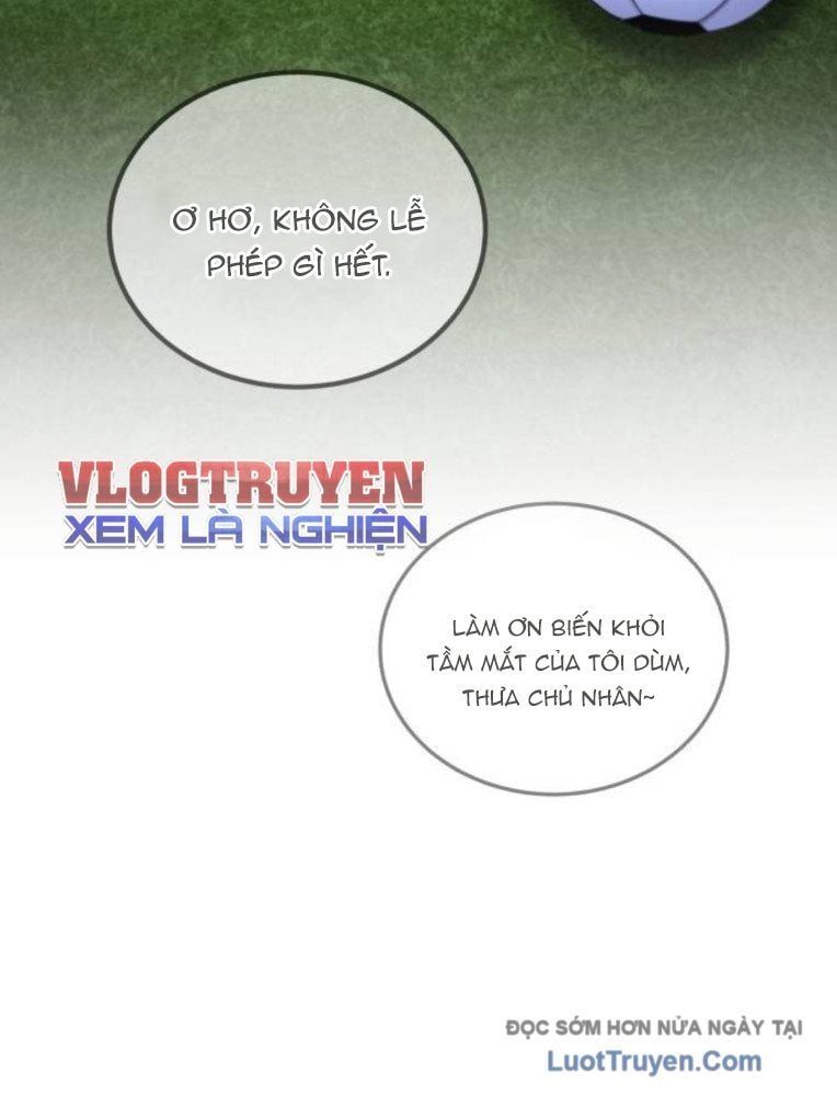 Đường Chuyền Đặc Biệt Của Tiền Vệ Thiên Tài Chap 28 - Next Chap 29