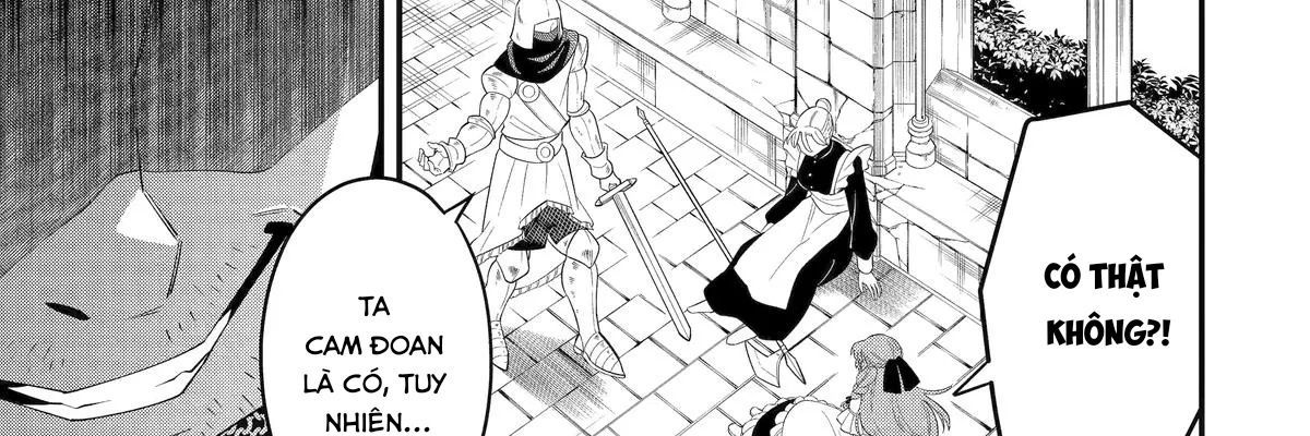 Pháp Sư Mạnh Nhất Dùng Sách Chiến Lược, Tự Mình Tiêu Diệt Ma Vương Chap 56 - Next Chap 57