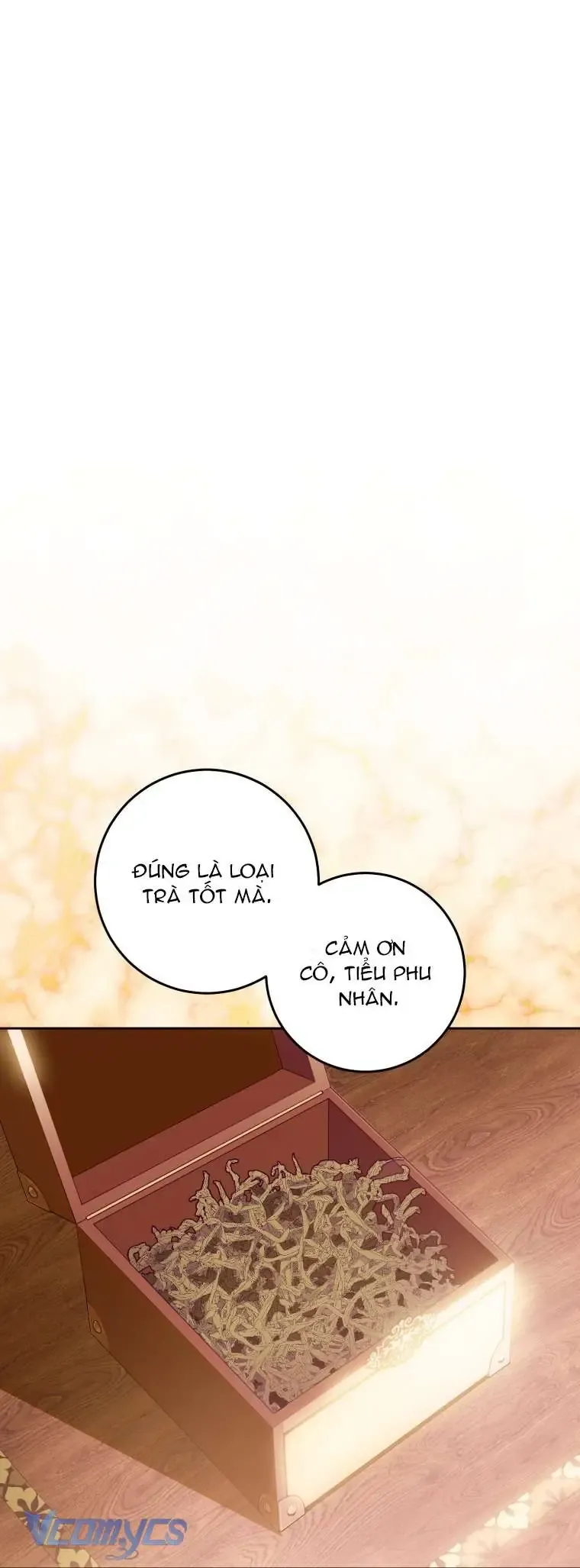 Người Vợ Hắc Ám Của Cậu Chồng Nhỏ Chap 19 - Next Chap 20