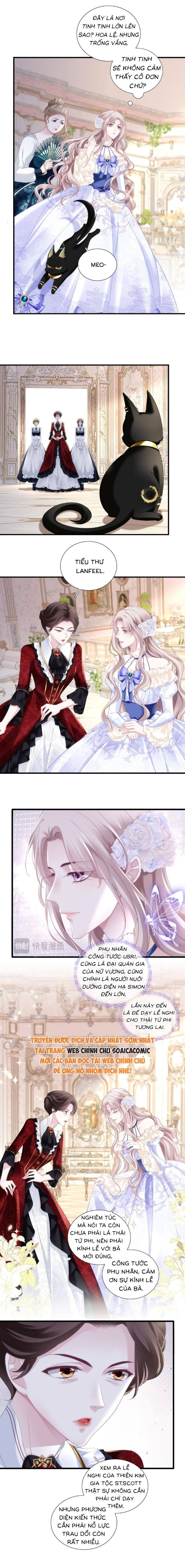 Ma Nữ Trở Lại Và Cuộc Hôn Nhân Định Mệnh Chap 5 - Next Chap 6