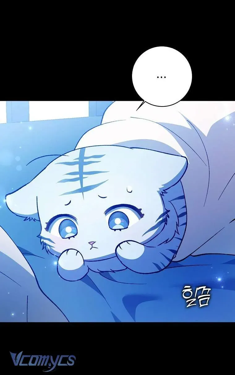 Công Chúa Bạch Hổ Không Có Nguy Hiểm Nha! Chap 1 - Next Chap 2