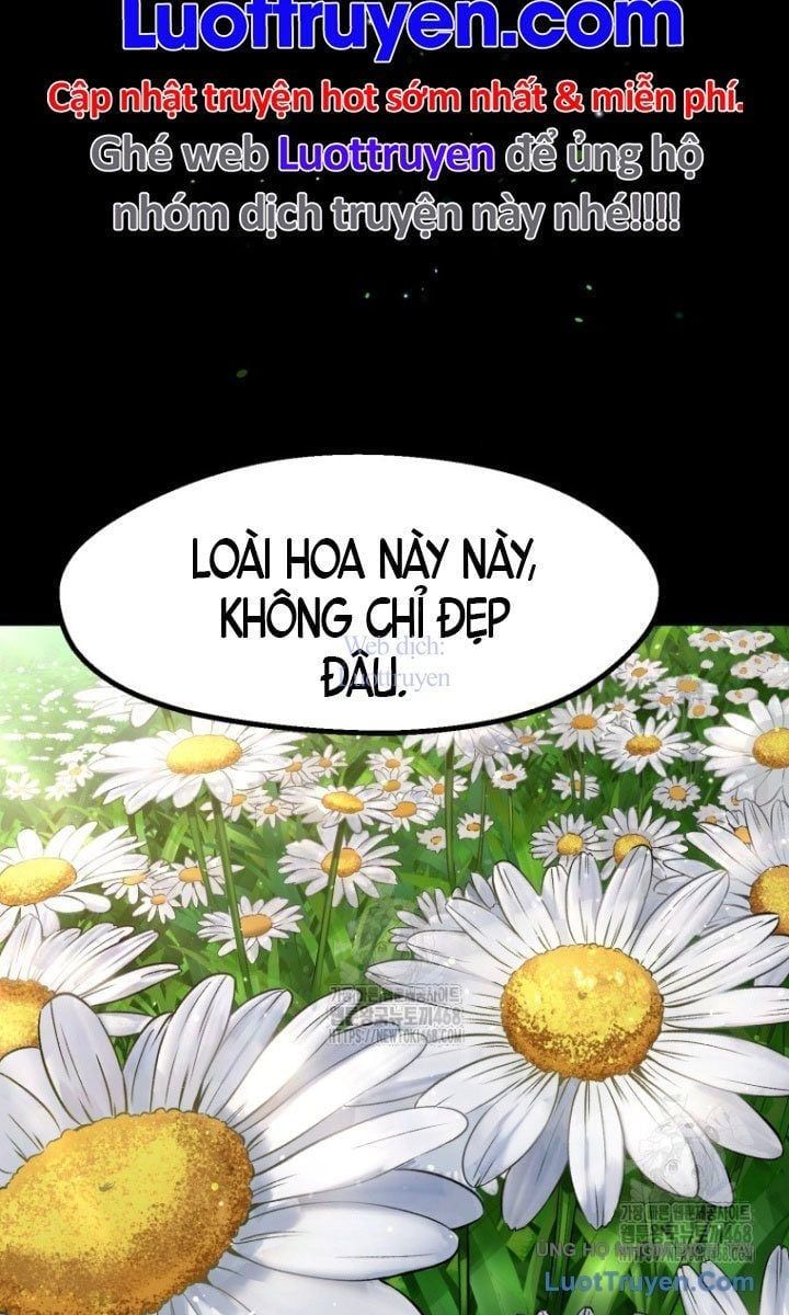 Anh Hùng Mạnh Nhất? Ta Không Làm Lâu Rồi! Chap 266 - Next Chap 267