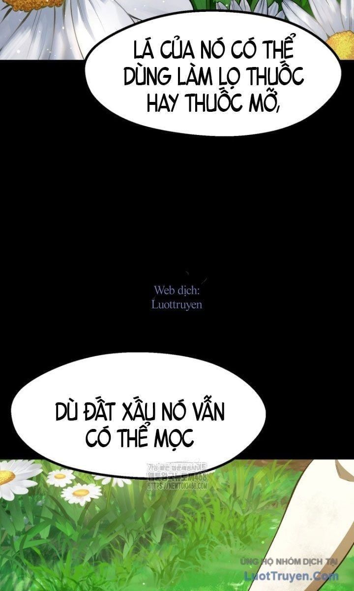 Anh Hùng Mạnh Nhất? Ta Không Làm Lâu Rồi! Chap 266 - Next Chap 267